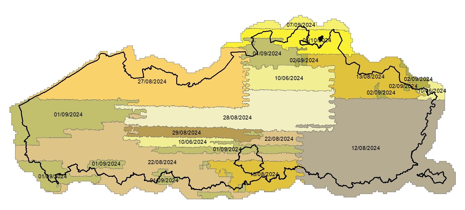 overview